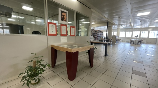 Foto 7