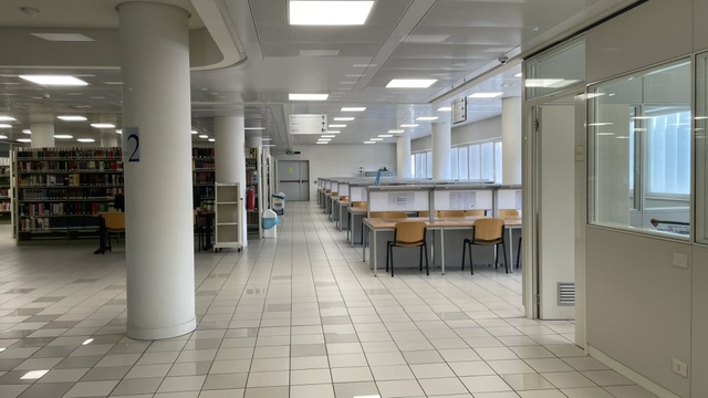Foto 15